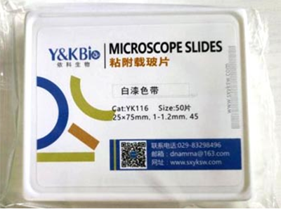 粘附载玻片