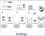 ELISA试剂盒出现显色淡灵敏度偏低可能原因及解决方法